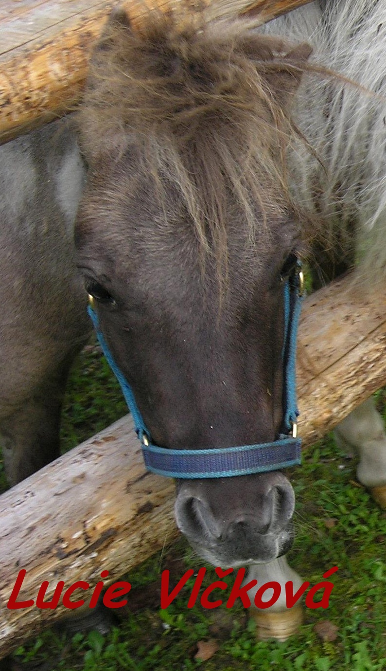 Falabella