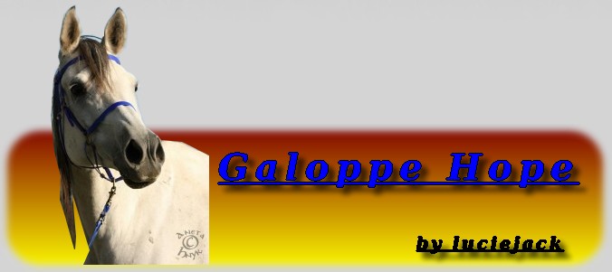 Galoppe Hope - grafika